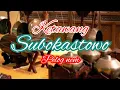 Ketawang Subokastowo | Gending Pahargyan Manten tanpa vocal