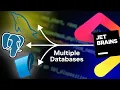 Multiple Databases in JetBrains IDE