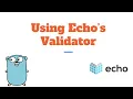 RESTful API in Golang using Echo - echo s validator