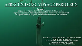 video_image