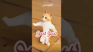 اغنية انا احب سوسو دندنها