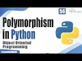 What is Polymorphism in Python Object Oriented Programming Python Tutorial