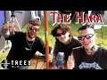 Download Lagu THE HARA | 2000 Trees Festival 2024 | interview