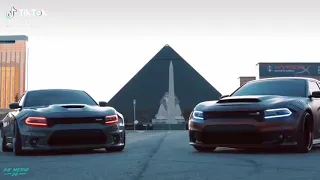اوكف عدل كدامي دندنها