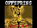 The offspring- self esteem