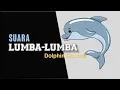 Download Lagu Suara Lumba-lumba