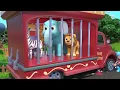 Old MacDonald Song with Safari Animals | Lalafun Nursery Rhymes & Kids Songs