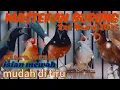 Download Lagu Masteran burung Ter baru 2025🐦suara jernih mudah di tiru,untuk semua burung