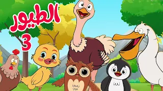 أغنية الطيور 03 قناة أسرتنا للأطفال 