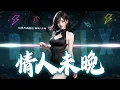 情人未晚 何仟仟 DJ Remix 动态歌词｜粤语歌曲 4K