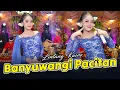 Download Lagu Lintang Kairo - Banyuwangi Pacitan (Official Music Video)