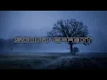 Weather - Wind Gusts 1 - SFX Producer ( No Copyright Weather Sound Effects )