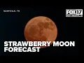Strawberry moon forecast the best time to look up for peak viewing
