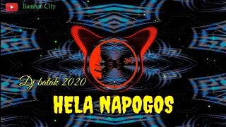 Download DJ batak 2020 _ Hela Napogos MP3