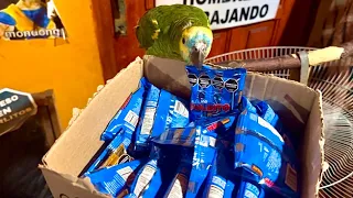Carlitos Trabaja de vendedor ambulante 