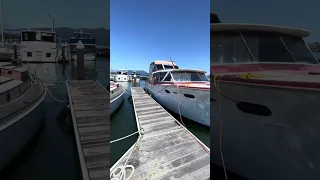 #fyp #dream #doberman #pets #boat