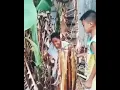anak kecil salam dari binjai #salamdaribinjai #pisang #anakkecilsalamdaribinjay #viral