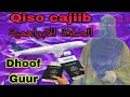 Download Lagu Qiso cajiib ah , waxaan kuhelay saliga nabiga scw . dhoof, iyo  Guur wanaagsan iyo nolal quruxbadan