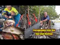 Lagu Pasang Perangkap dan Bermalam Dapat Ikan Kakap Besar Langsung Masak Balado Terong dan Udang 