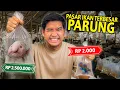 Download Lagu SIDAK HEWAN PALING MURAH DAN PALING MAHAL YANG ADA DI PASAR IKAN TERBESAR DAN TERMURAH PARUNG BOGOR!