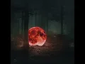 Voice Of The Forest (Instrumental)