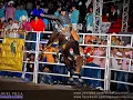 El Toro Viejo_Julion Alvarez (Destructores De Memo Ocampo)