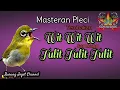 Download Lagu Masteran Pleci Tembakan Wit Wit Wit Sambung Tulit Tulit Sejalur Suara Jernih