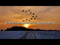 Aurora - Winter bird "Lyrics"