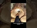 Husband s Mirror Trick Backfires Hilariously