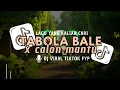 Download Lagu DJ TABOLA BALE X CALON MANTU🎵DJ VIRAL TIKTOK FYP TERBARU 2025