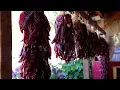 Chile Harvest Heats Up in Aztec