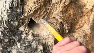 Treasure hunting