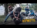 Lagu SINDIKAT HIPNOTIS