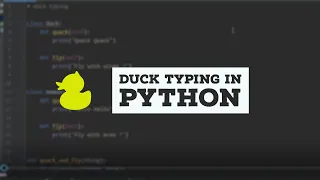 Python Tutorial 60 Duck Typing In Python Quack Quack
