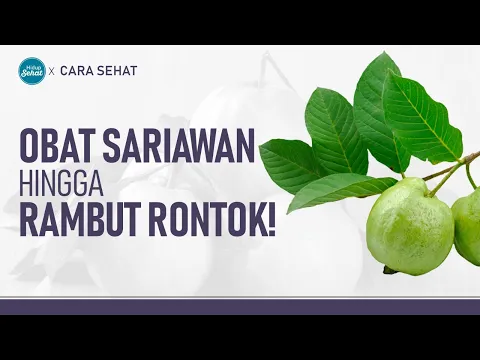 Racikan Daun Jambu Biji Untuk Kesehatan Hingga Kecantikan, Ini Cara Buatnya