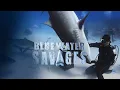 Blue Water Savages Lemon Sharks
