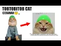 Lagu kucing tob tobi punya sebuah nasihat😇....