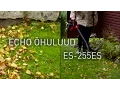 Lehepuhur-imur Echo ES-255ES