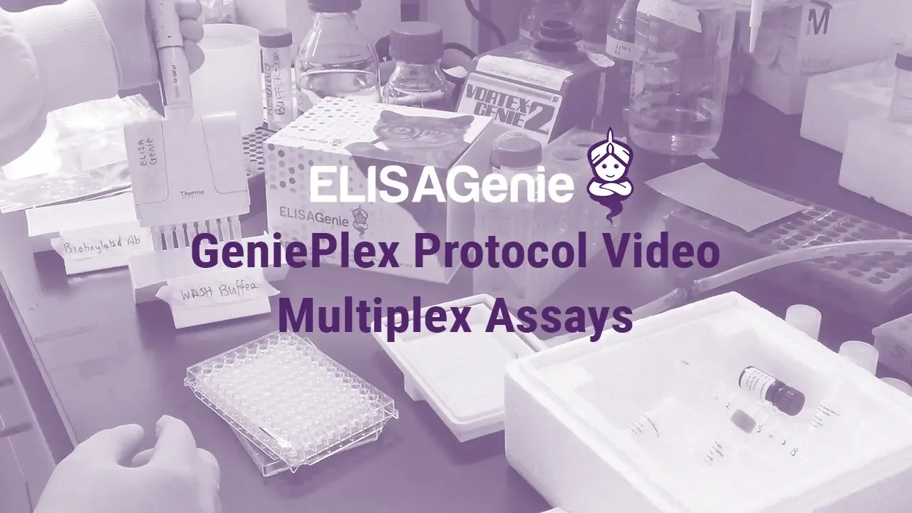 GeniePlex Multiplex Assay Protocol | Assay Genie