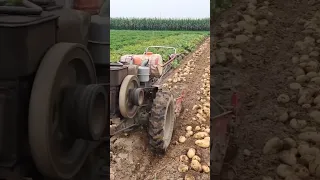 Мотоблок картофелекопалка 