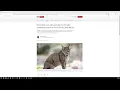 How To Add Bookmarks To Toolbar In Firefox