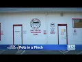 Yuba-Sutter SPCA temporarily closes after veterinarian suddenly resigns