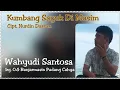 Download Lagu Kumbang Sayuk Di Musim || Wahyudi || Cipt. Nurdin Darsan || Versi O.G Banjarmasin Padang Cahya