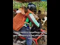 Download Lagu manfaat daging kambing untuk kesehatan