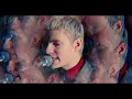 The Molotovs - Today's Gonna Be Our Day (Official Video)