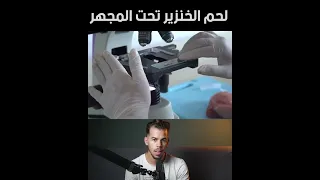 لحم الخنزير تحت المجهر سبحان الله 