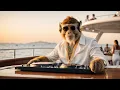 Download Lagu DJ GO RILLA – 🎧 JOURNEY №90 | Chill Deep House Set | SUNSET YACHT, CANNES 🛥️