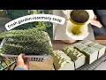Download Lagu 🌿 Making soap with fresh rosemary from my garden