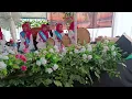 Download Lagu sholawat,, widodari,, versi, janeng, ajisukma,, buntu, cilacap, sunatan