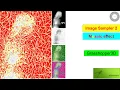 015 - Mosaic effect image sampler using C and Grasshopper 3D inside Rhinoceros